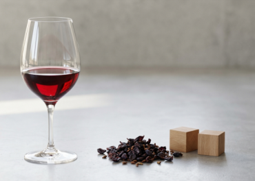Tannin Trong Rượu Vang Là Chất Gì? Cẩm Nang Kiến Thức Từ Chuyên Gia
