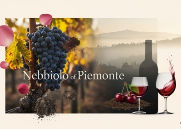 Nebbiolo Là Gì? Giải Mã Vị Vua Của Rượu Vang Piemonte & Nguồn Gốc Hương Hoa Hồng Từ Chuyên Gia WSET Lily Trần