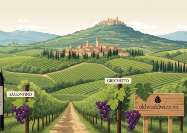 Rượu Vang Umbria: Khám Phá Trái Tim Xanh Của Nước Ý & Sức Mạnh Của Sagrantino Từ Chuyên Gia WSET Lily Trần