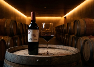 Tiềm Năng Lão Hóa Của Rượu Vang Icon Chile: Cẩm Nang Đầu Tư Và Thưởng Thức