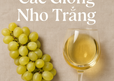 Khám Phá Thế Giới Giống Nho Trắng: Hướng Dẫn Toàn Diện Về Đặc Điểm & Hương Vị (Cập nhật 2025)