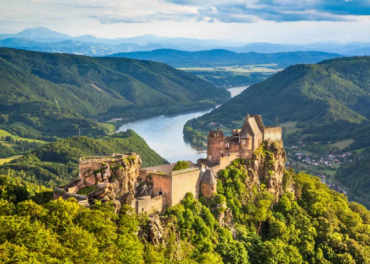 Giải Mã Toàn Diện Hệ Thống Phân Loại Rượu Vang Áo: Từ DAC Đến Prädikatswein & Wachau