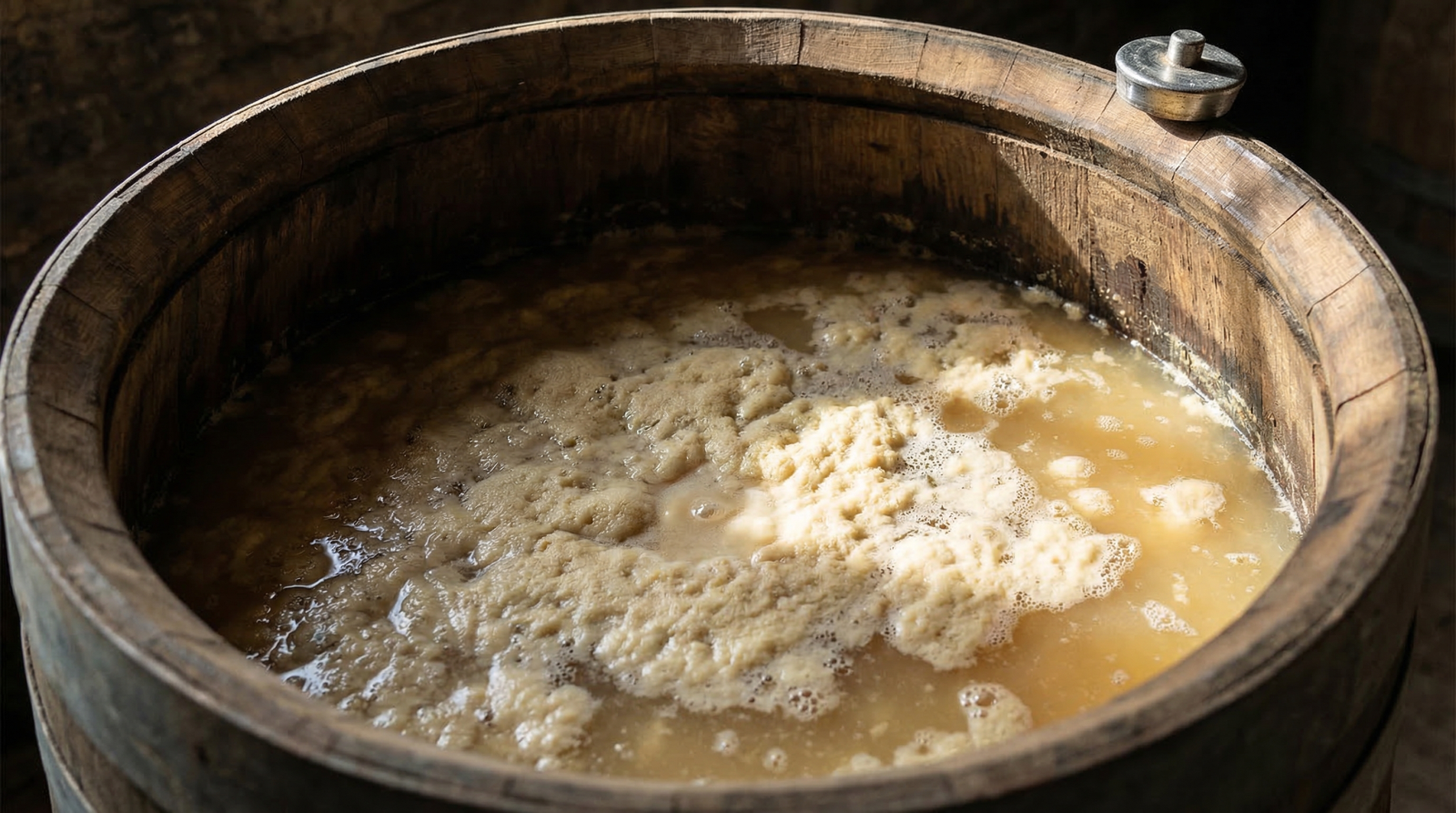 Ảnh vĩ mô: Nhìn thẳng vào lỗ thông hơi của một thùng Fino Sherry với lớp 'flor' men trắng vàng dày bảo vệ bề mặt rượu.