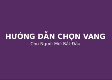 Hướng Dẫn Chọn Rượu Vang Cho Người Mới Bắt Đầu
