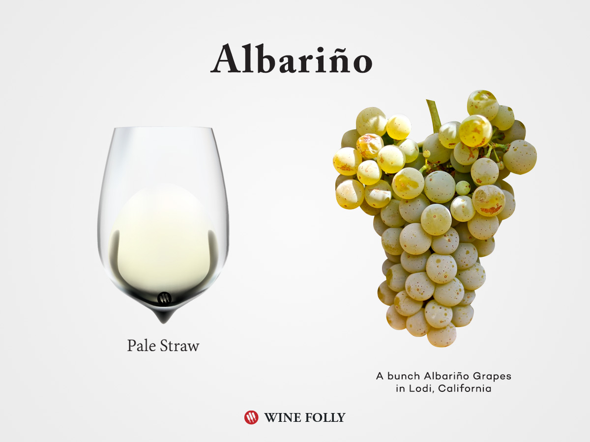 Albariño là gì? và cách tìm rượu Albariño chất lượng