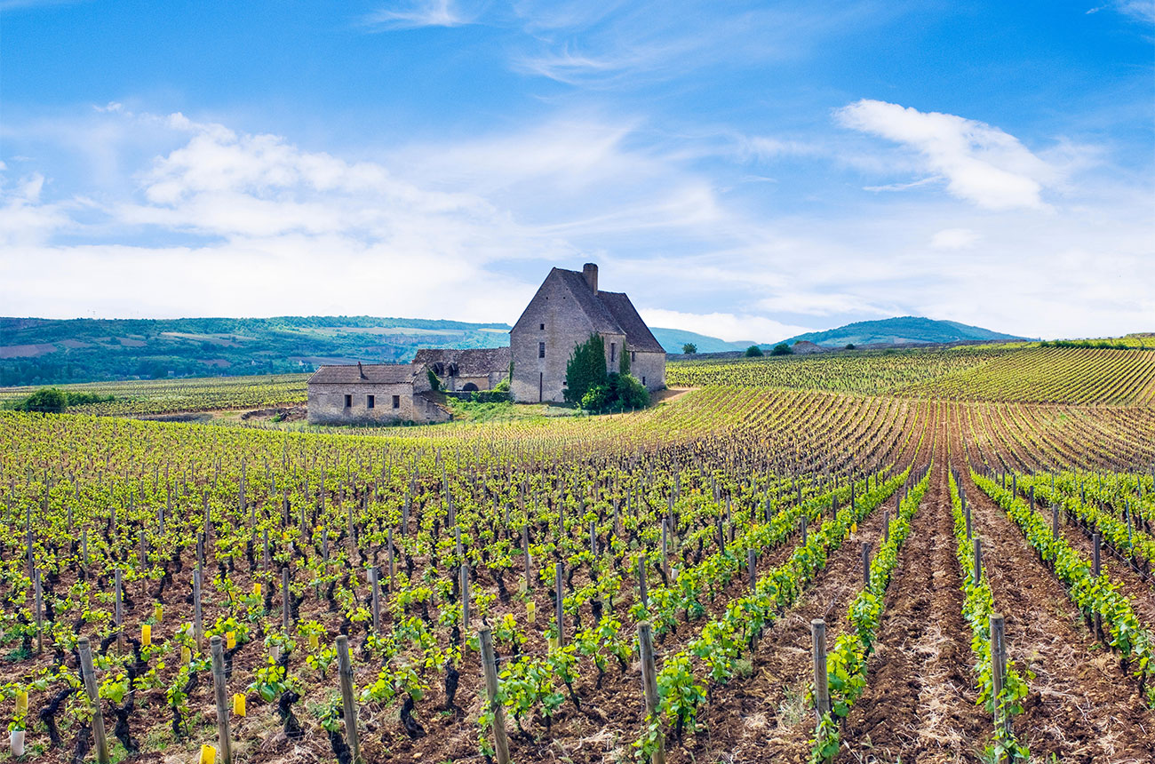 Côte de Beaune là gì?