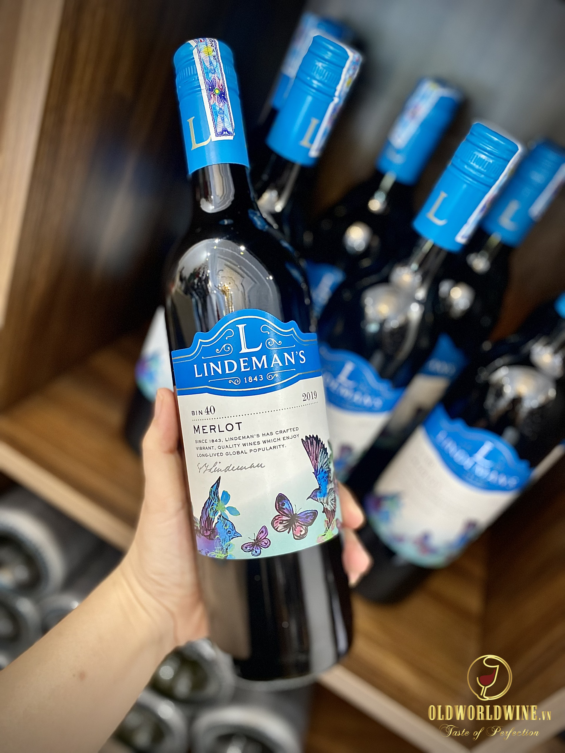 Lindemans-Merlot-Bin-40-7_-15-07-2022-10-20-32.png