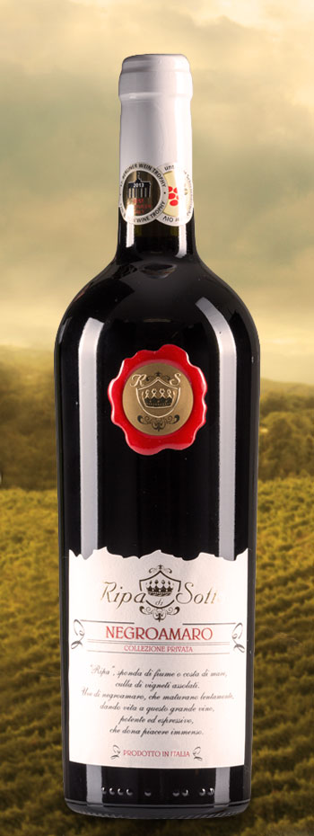 Ripa-di-Sotto-Negroamaro-Collezione-Privata-2016-2_-04-05-2021-13-16-01.jpg