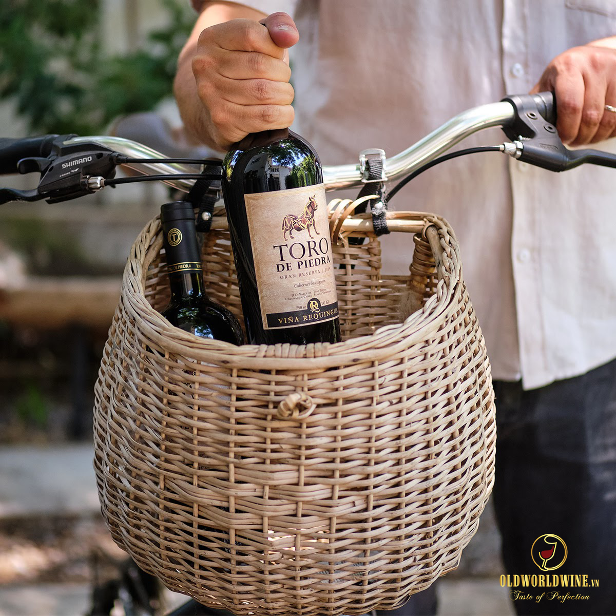 Rượu vang Toro de Piedra Gran Reserva Syrah Cabernet Sauvignon