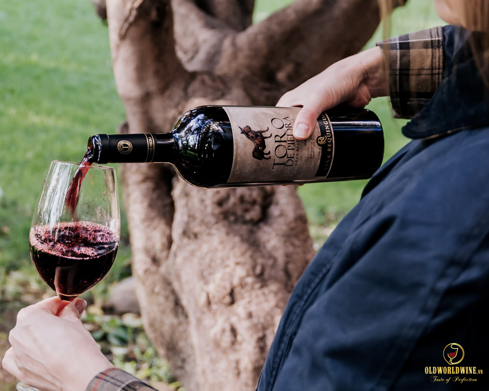 Rượu vang Toro de Piedra Gran Reserva Syrah Cabernet Sauvignon
