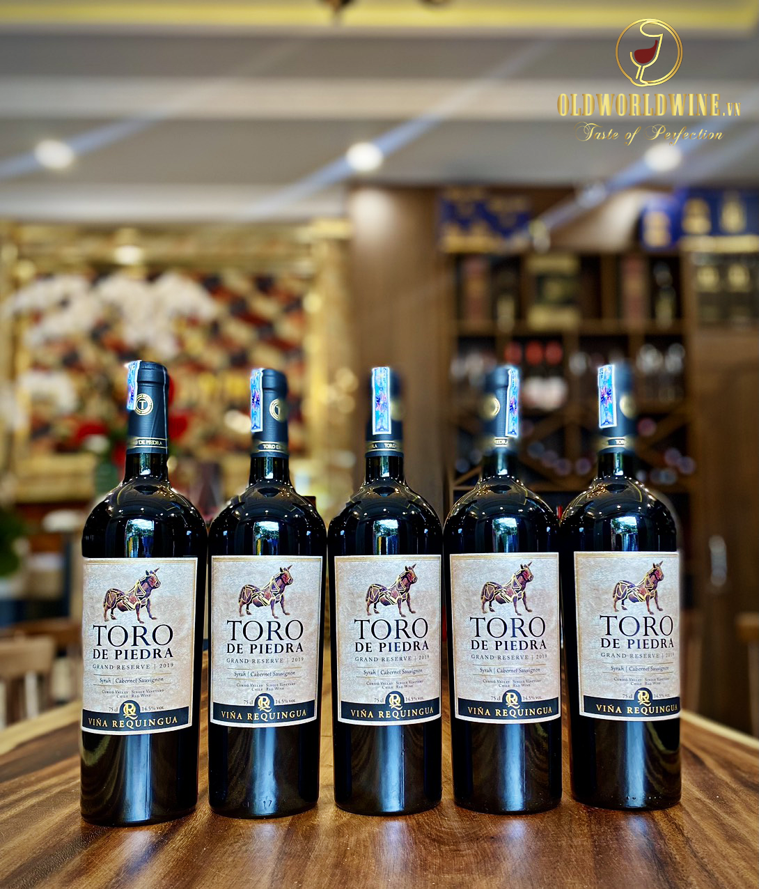 Rượu vang Toro de Piedra Gran Reserva Syrah Cabernet Sauvignon