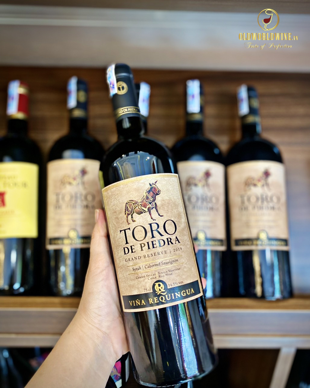 Rượu vang Toro de Piedra Gran Reserva Syrah Cabernet Sauvignon
