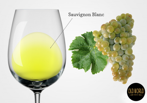 Sauvignon Blanc là gì? Tìm hiểu chi tiết giống nho và rượu vang Sauvignon Blanc