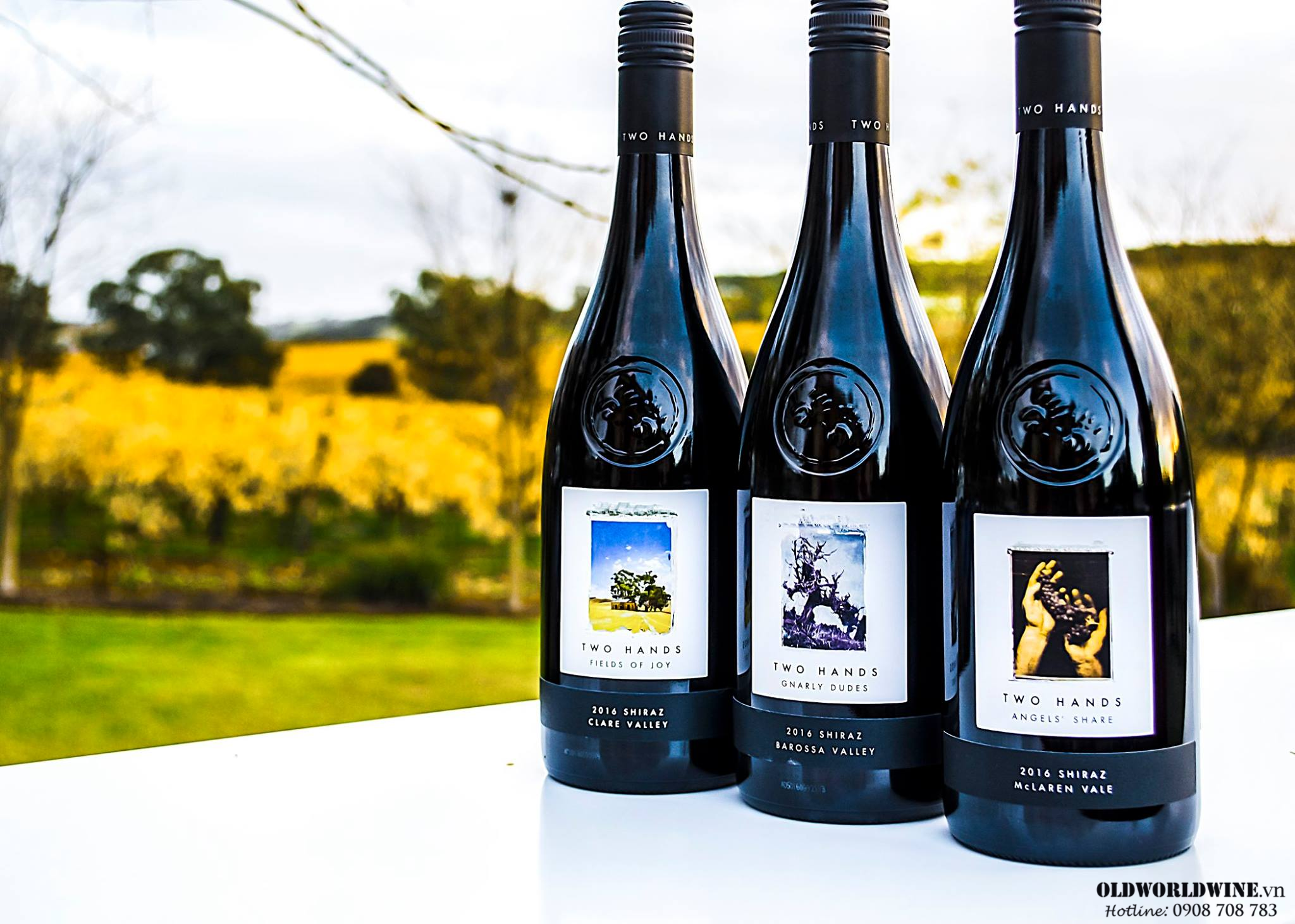 Two-Hands-Angels-Share-Shiraz2_-03-07-2021-15-35-41.png