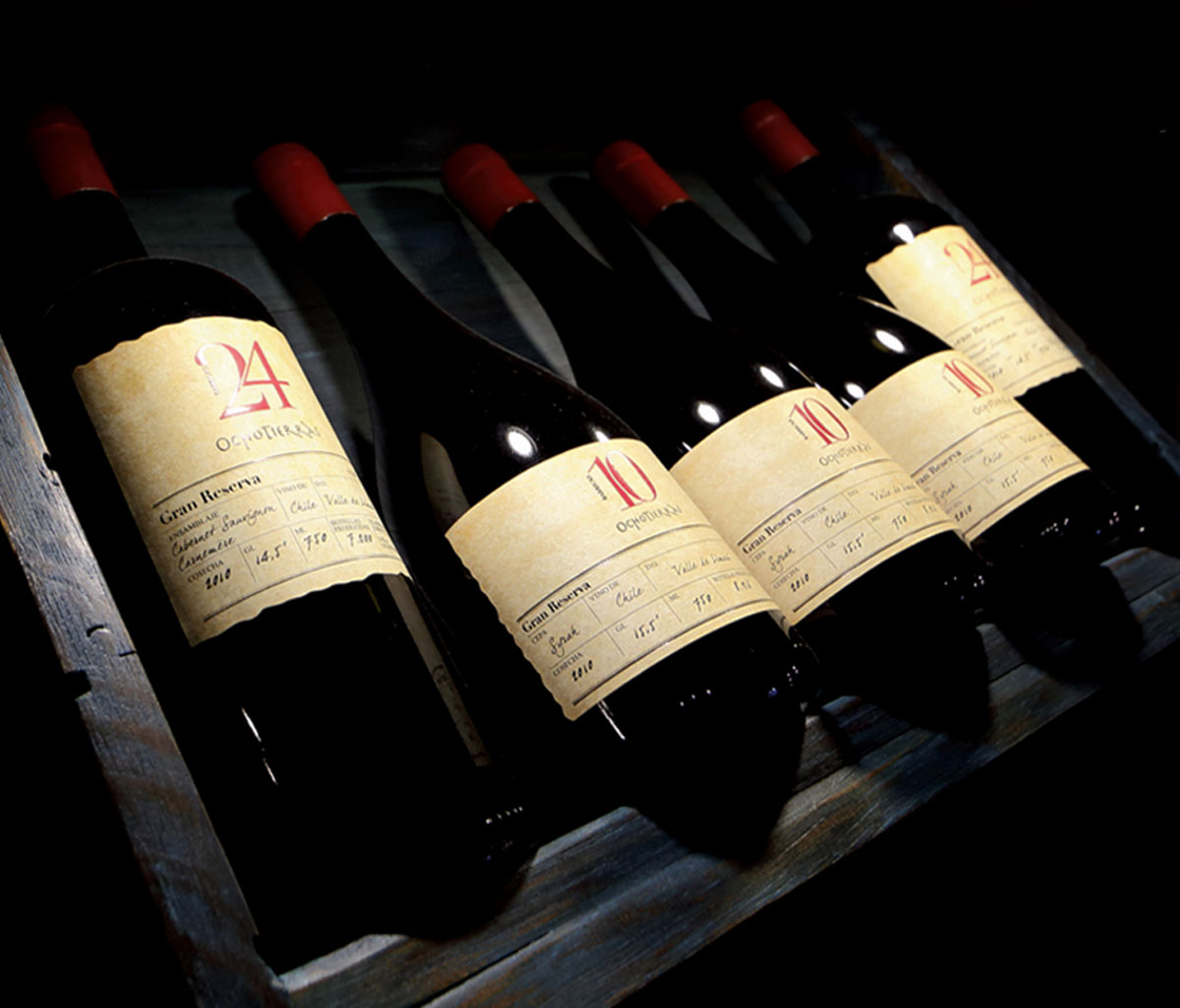 Rượu vang đỏ Chile 10 Gran Reserva Syrah Carmenere