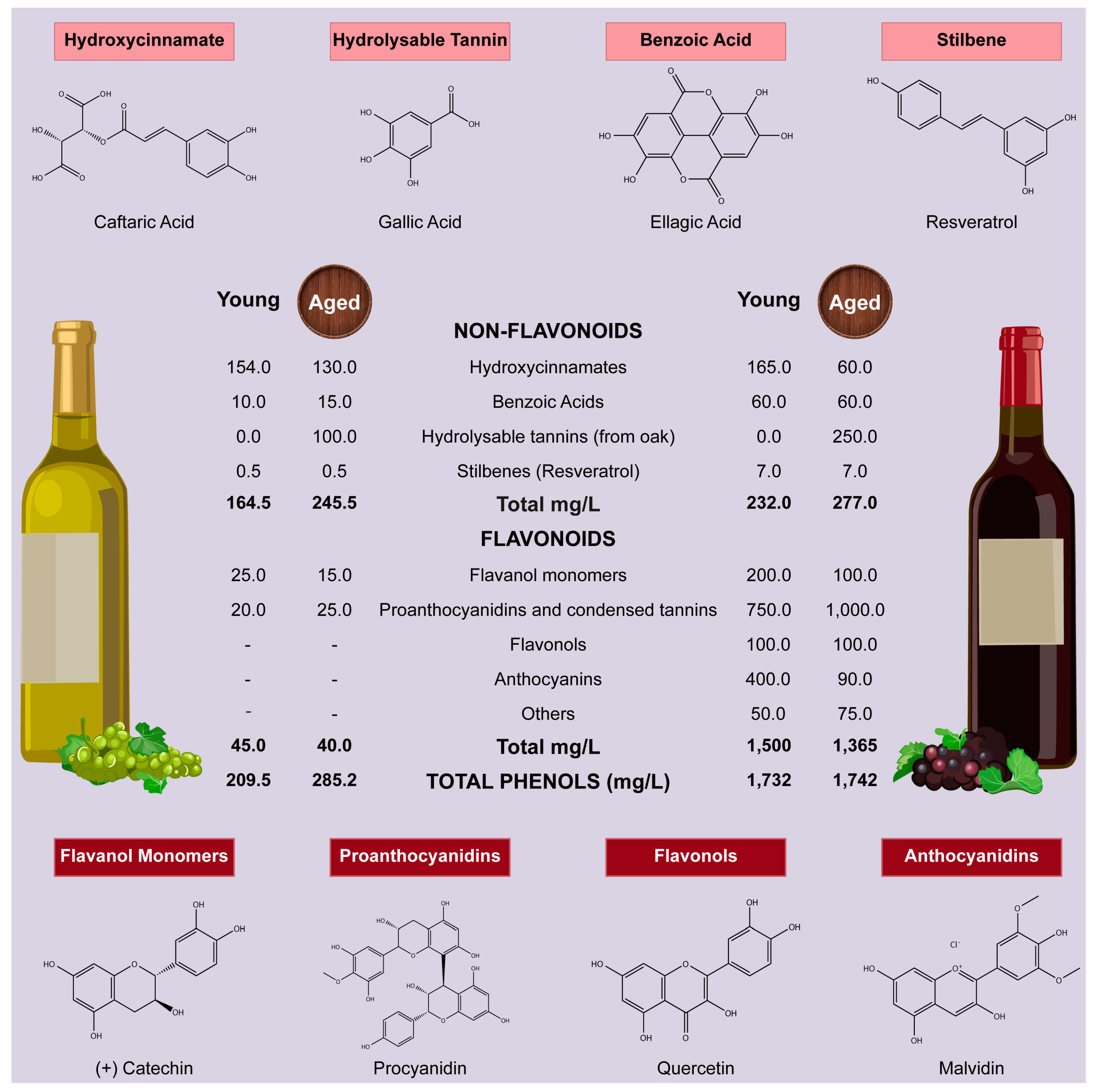 Polyphenol trong rượu vang là gì?
