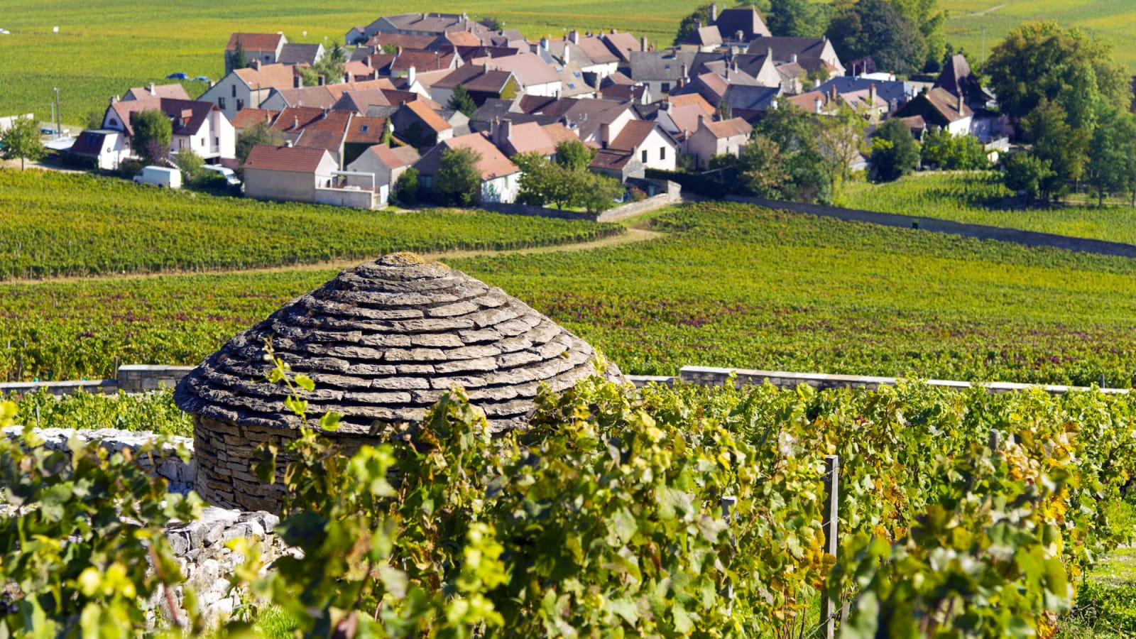 Côte de Nuits là gì? 
