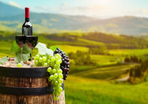Hunter Valley wine là gì? Tìm hiểu rượu vang thung lũng Hunter