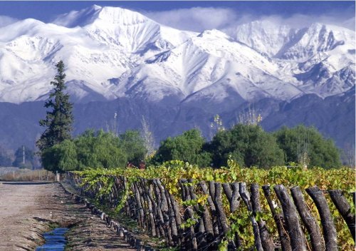 Thung lũng Cachapoal - Rượu vang Chile