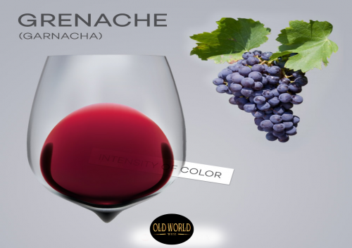 Grenache là gì? Sự thật đáng ngạc nhiên về rượu vang Grenache