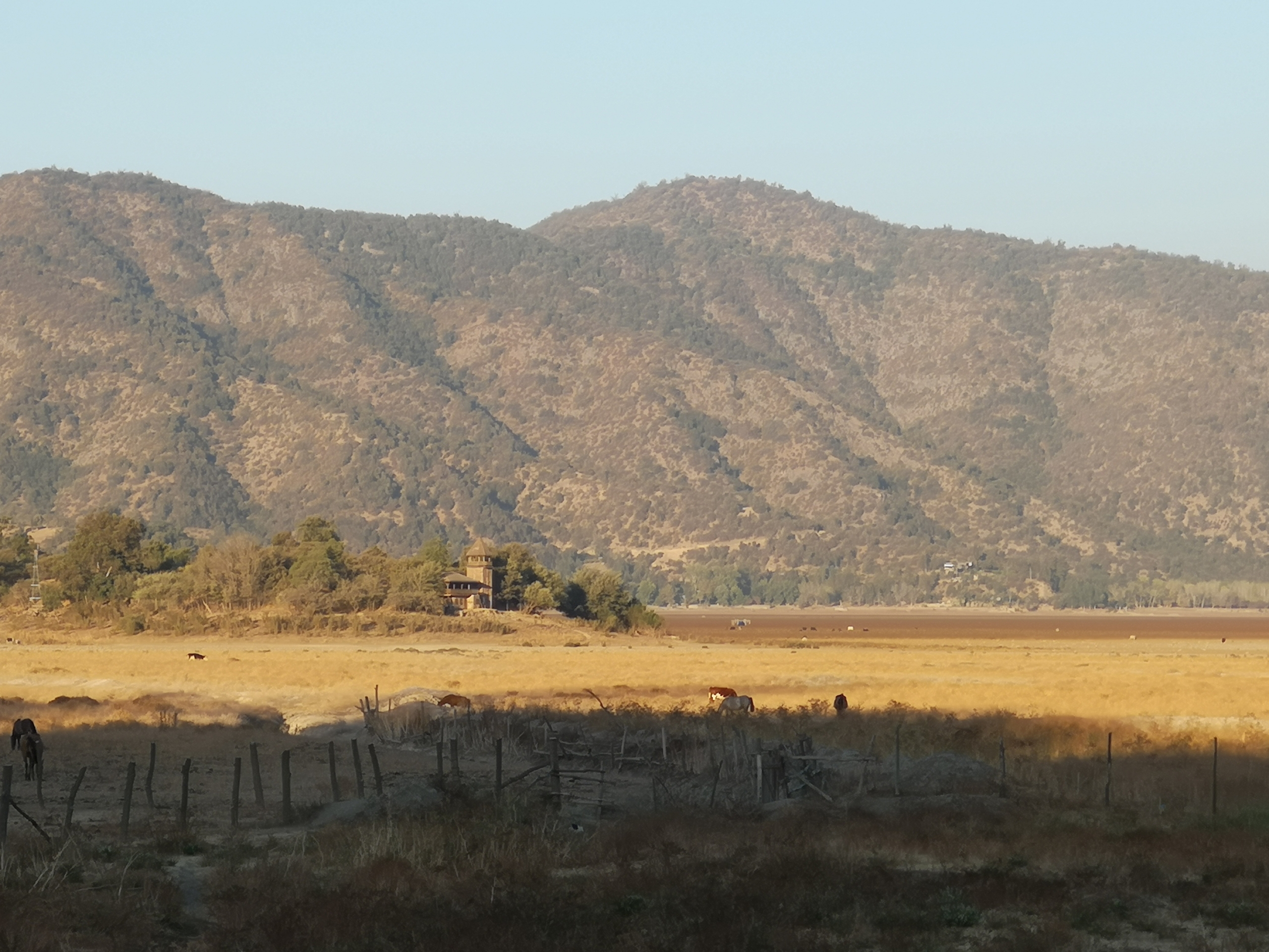 Maipo Province là gì? Tìm hiểu rượu vang Maipo Valley