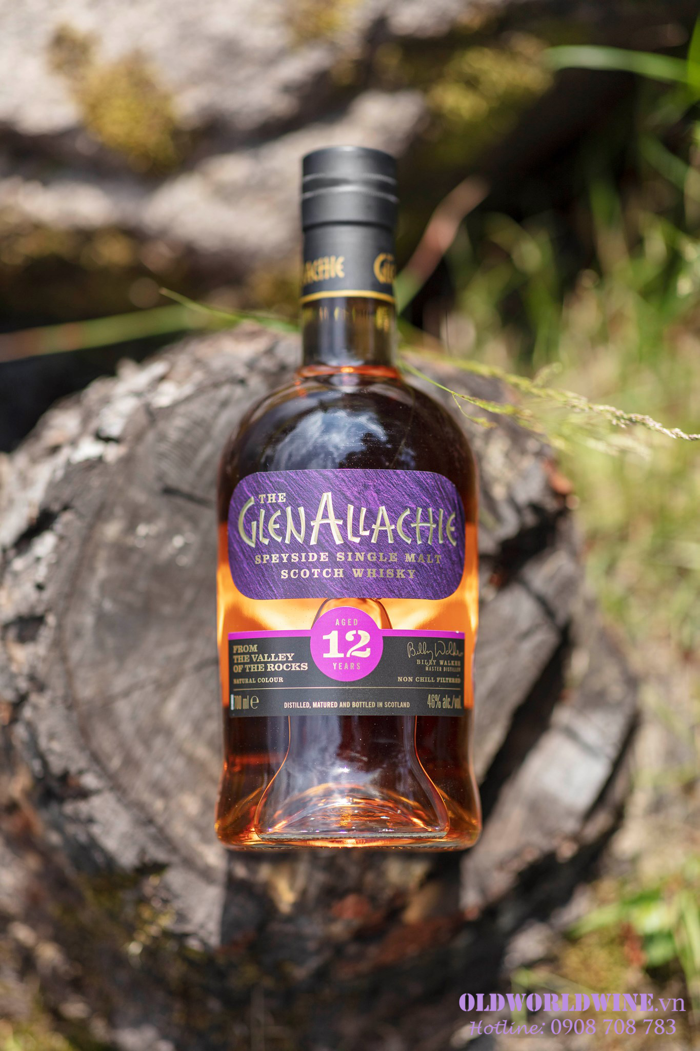 Rượu Glenallachie 12 năm