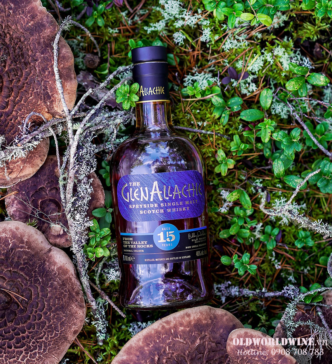 Rượu Glenallachie 15 năm