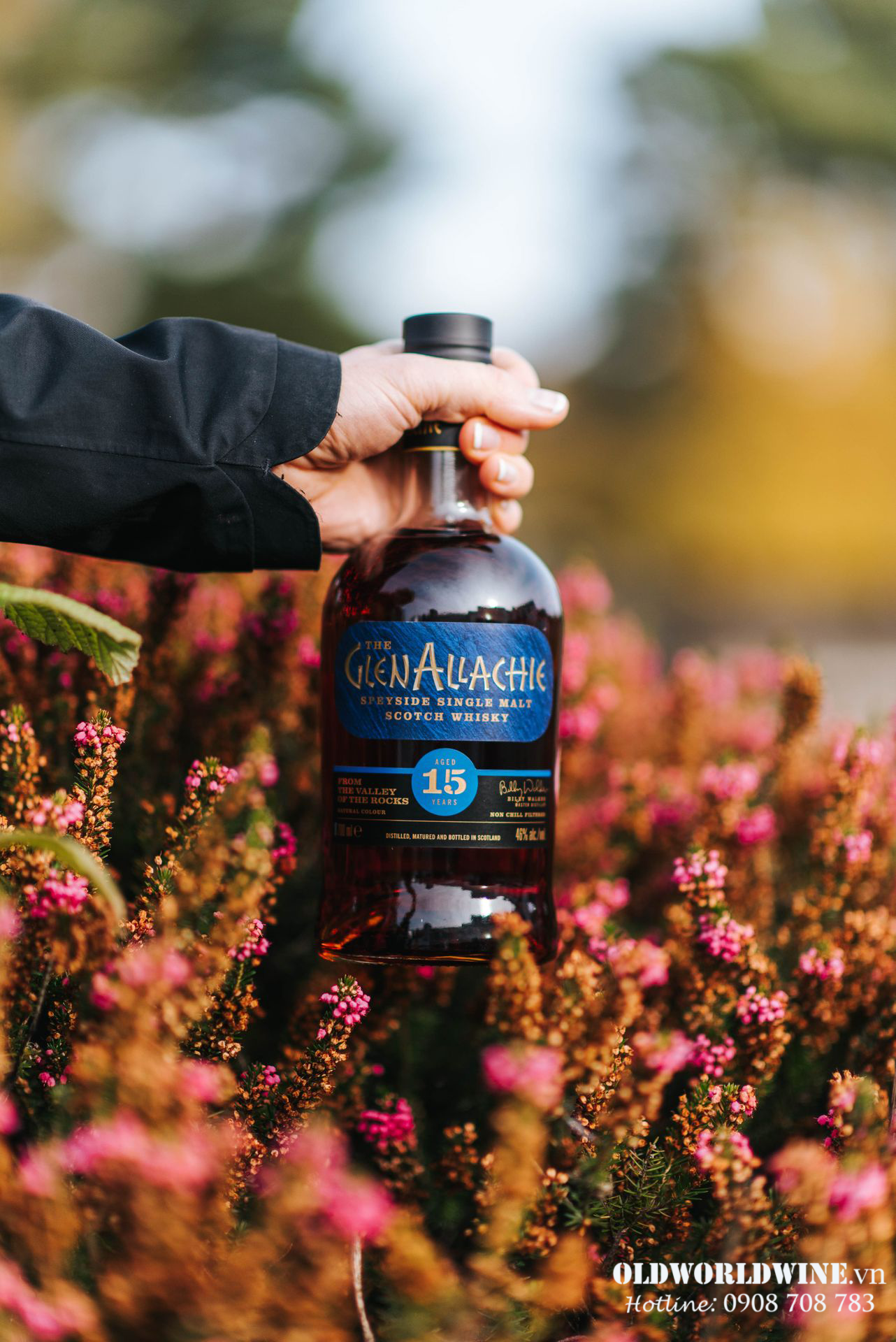 Rượu Glenallachie 15 năm