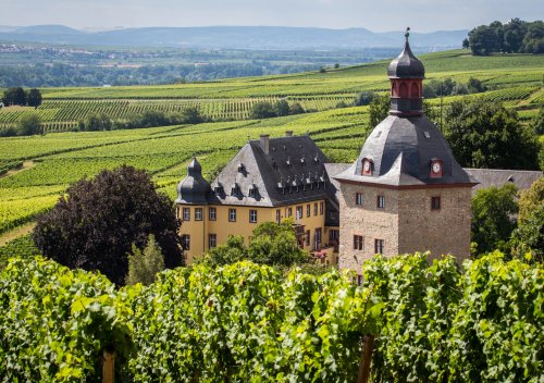Rượu vang Đức là gì? Hướng dẫn về rượu vang trắng của Đức