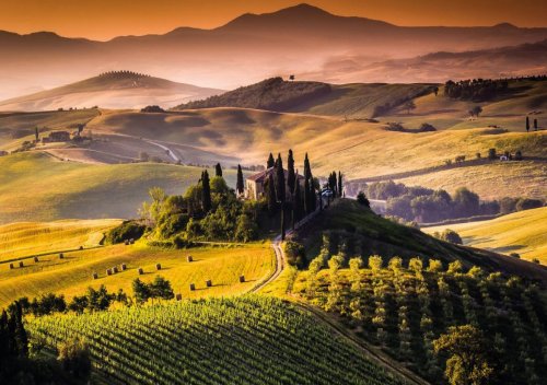 Tìm hiểu rượu vang Tuscan
