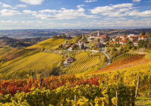 Trebbiano là gì? Hướng dẫn về rượu vang Trebbiano: tất cả những gì bạn cần biết về rượu vang trắng Ý quan trọng nhất