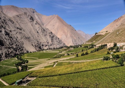 Khám phá vùng rượu vang Thung lũng Elqui của Chile