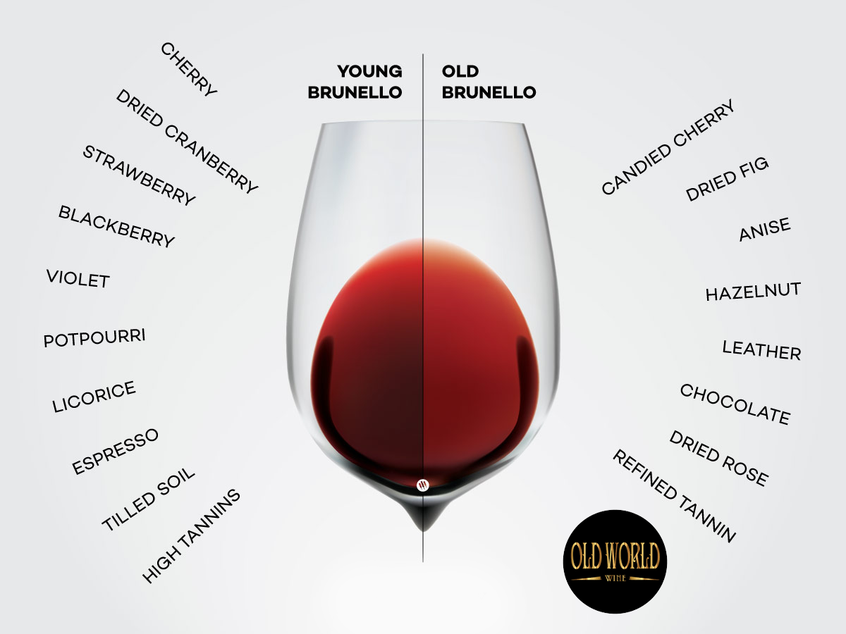 Brunello di Montalcino là gì? Tìm hiểu rượu vang Brunello di Montalcino